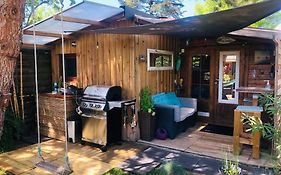 La cabane de Carol au coeur du bassin d'Arcachon